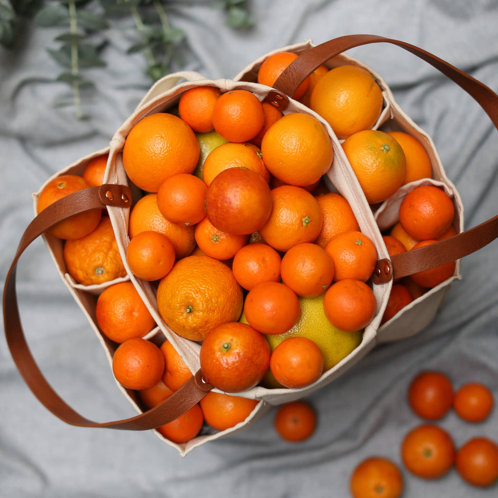 Heavy Canvas Market/Art Tote