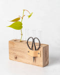 Wood Plant Propagation Stand