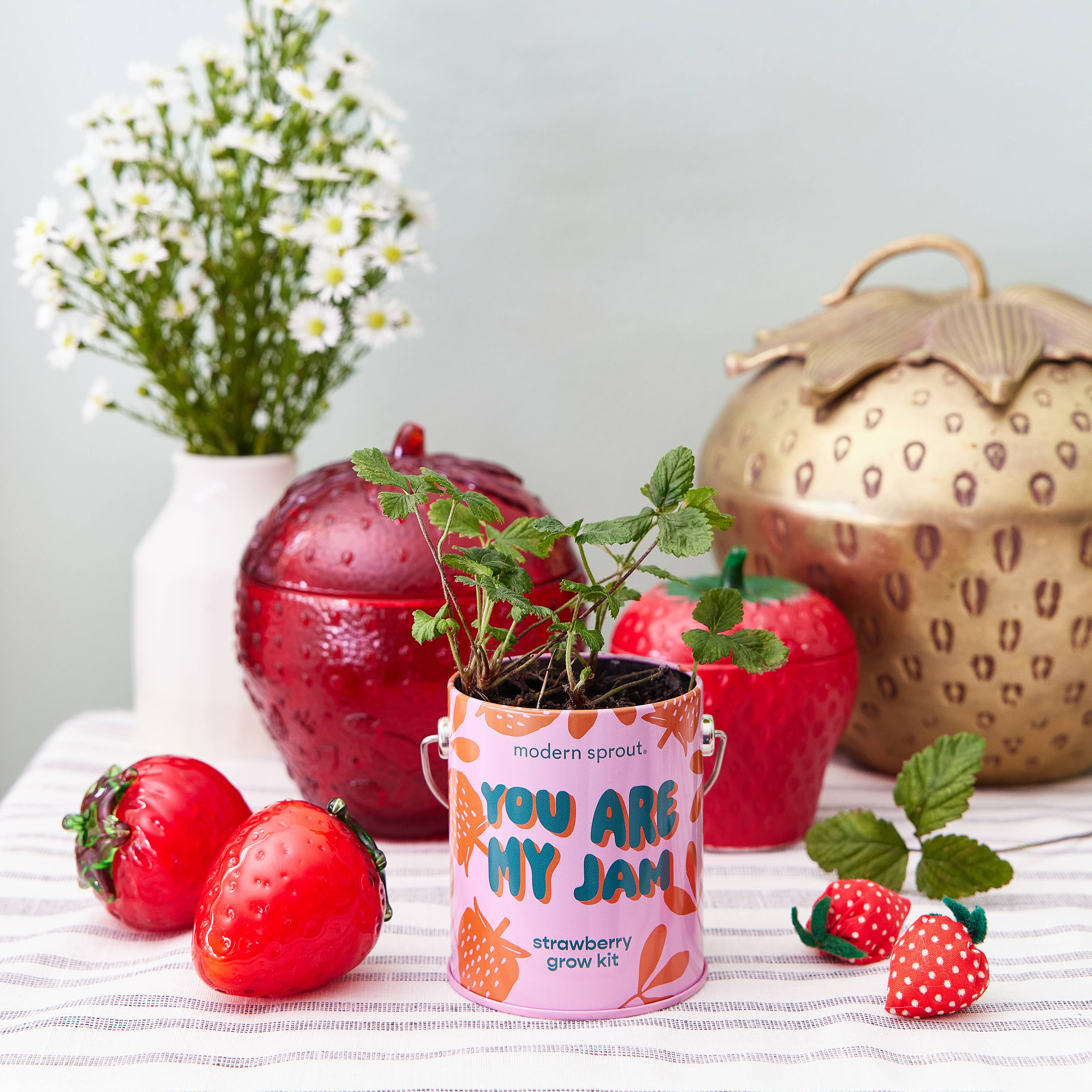 Grow Kit