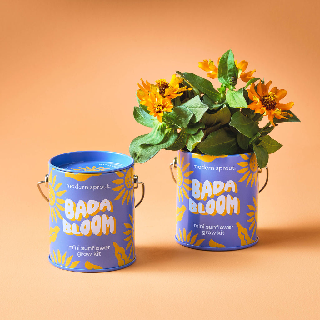 Grow Kit