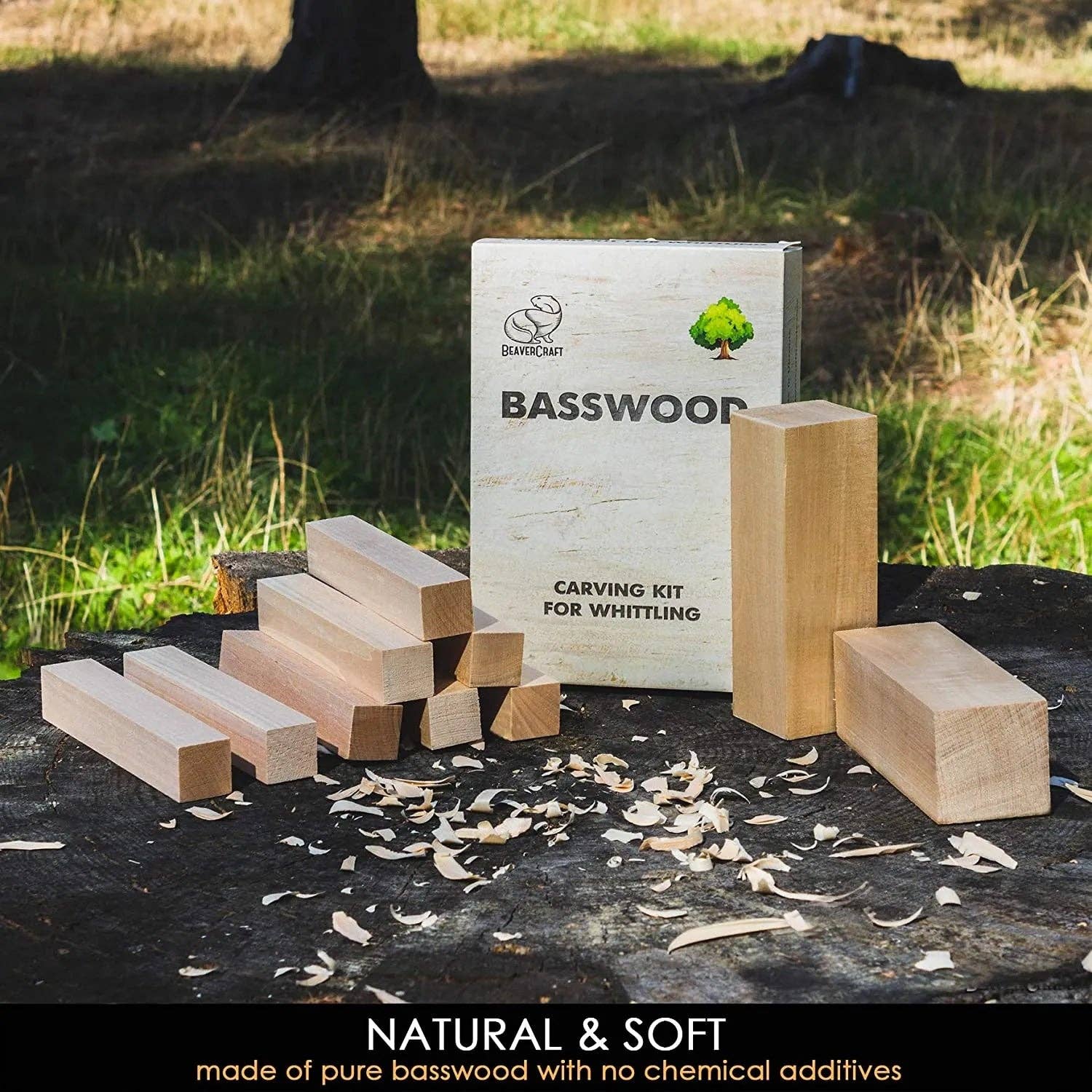 Basswood Carving Blocks 10 pcs