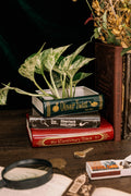 Stacked Book Planter, Sherlock