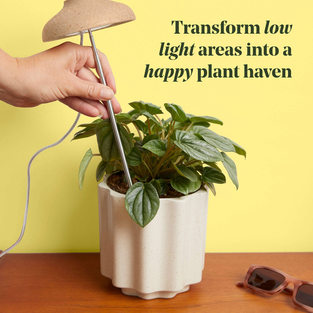 Instant Sun Extendable Grow Lamp