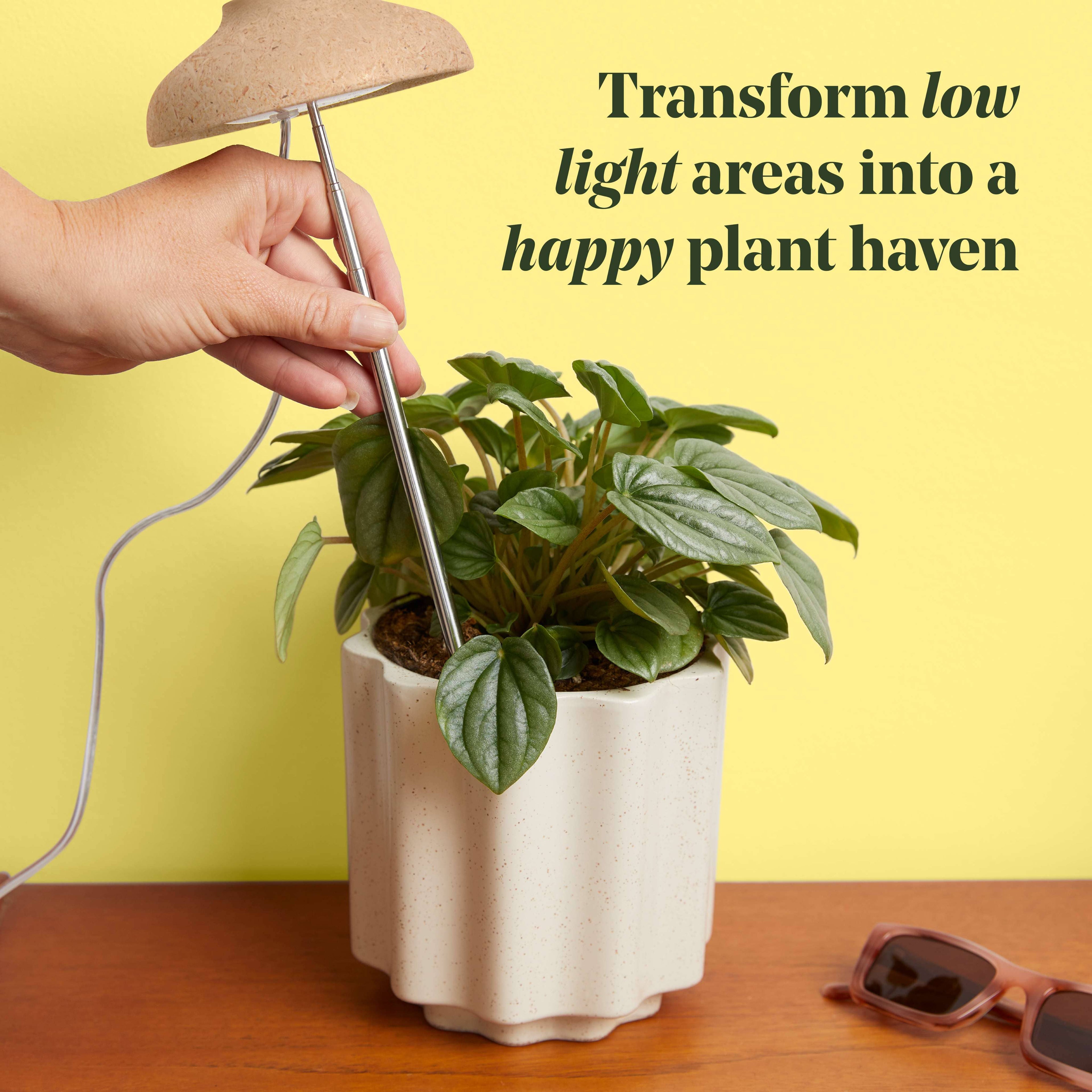 Instant Sun Extendable Grow Lamp