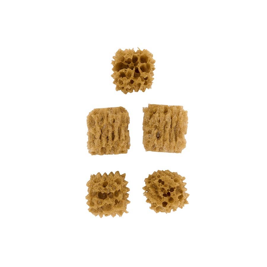 Sponge Value Pack - 5-Piece