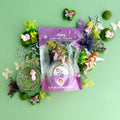 KidDough Play Kit- Fairy