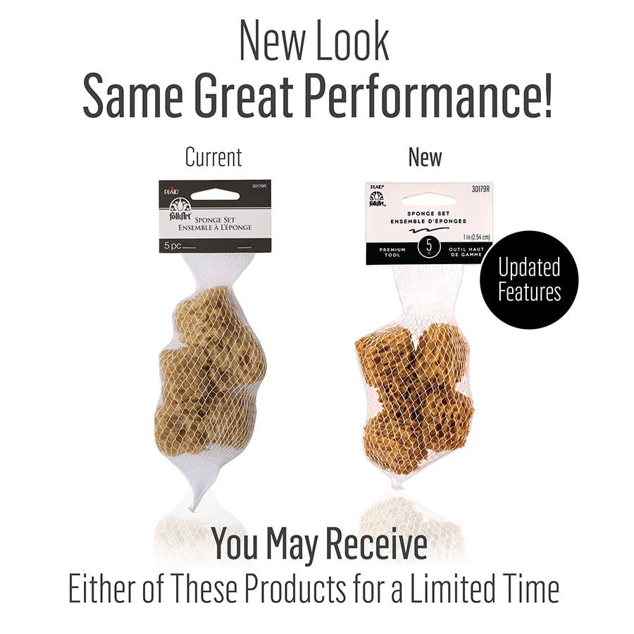 Sponge Value Pack - 5-Piece