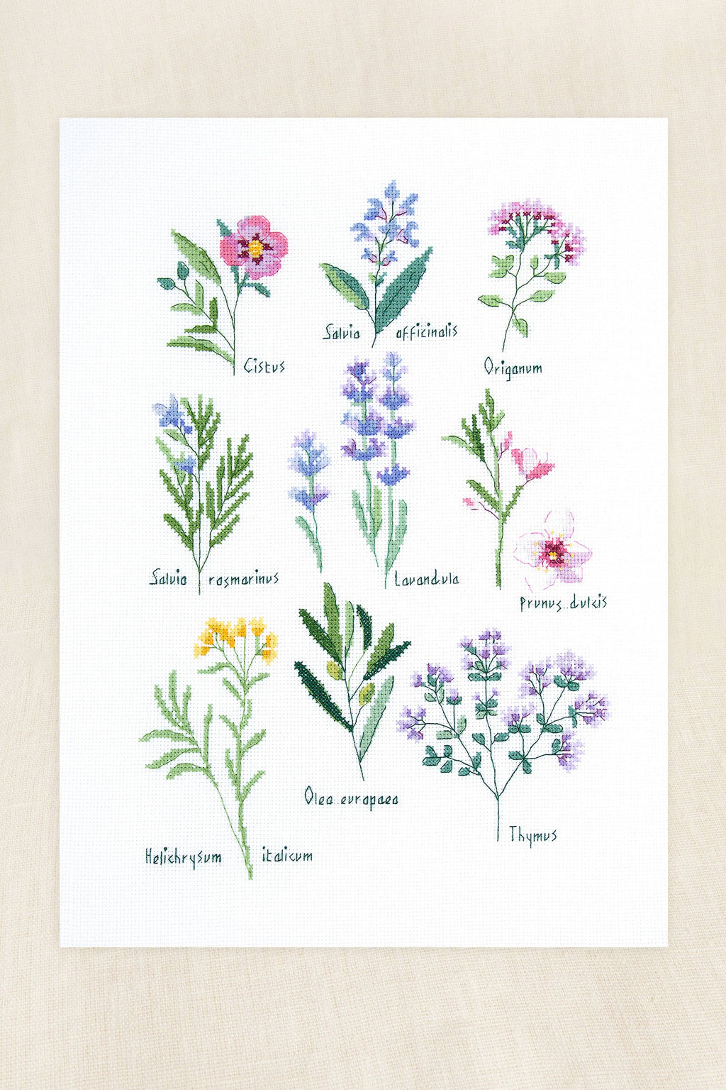 Cross Stitch Kit - Herbs