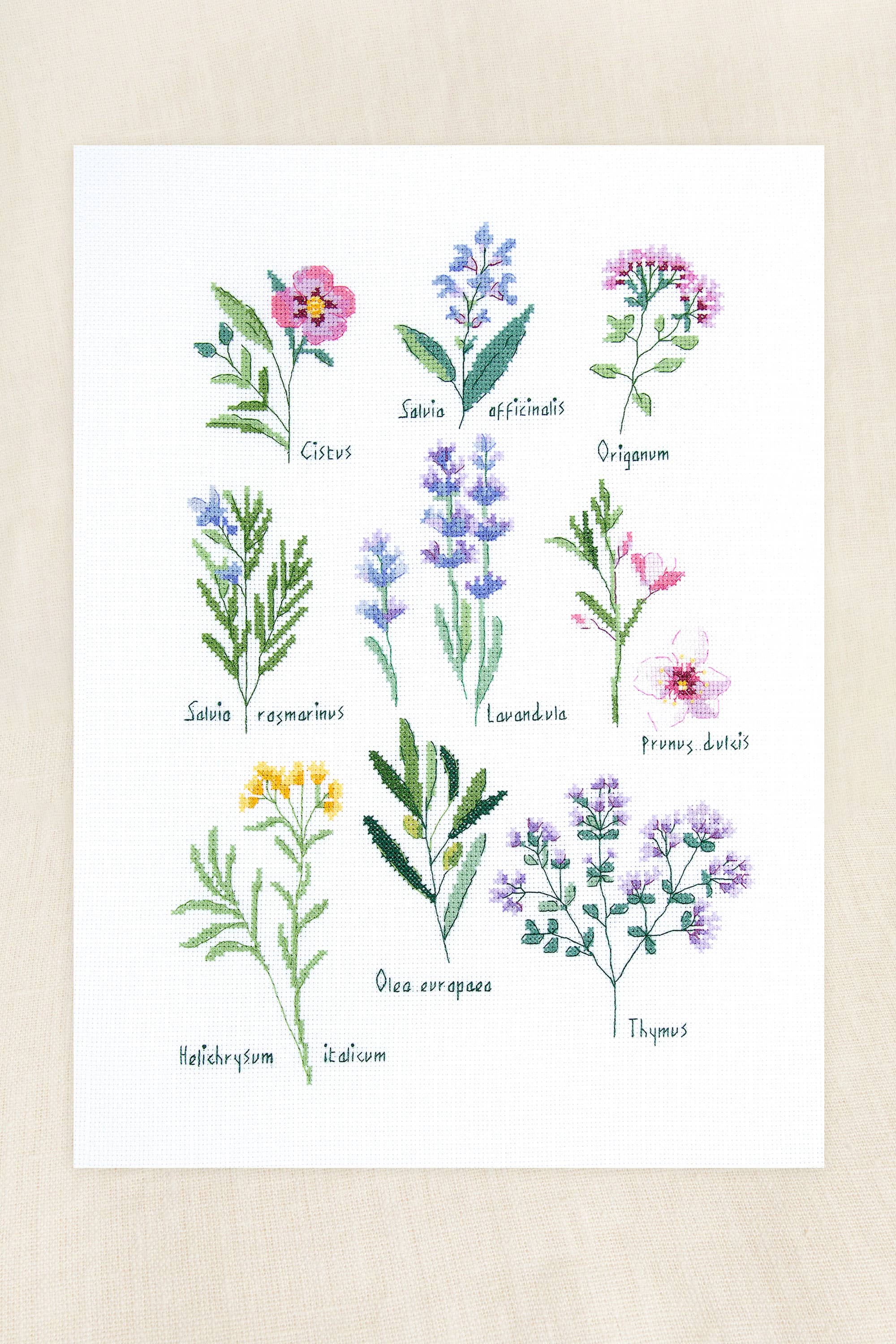 Cross Stitch Kit - Herbs