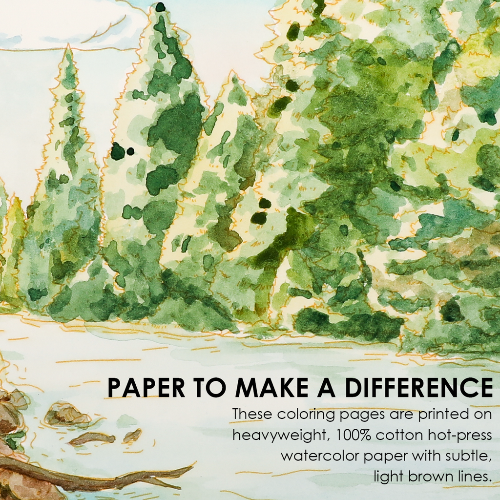 Watercolor Coloring Club Box- Forest