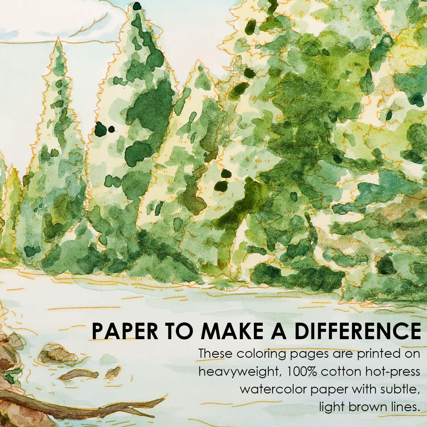 Watercolor Coloring Club Box- Forest