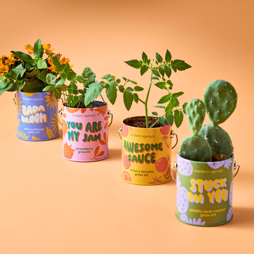 Grow Kit
