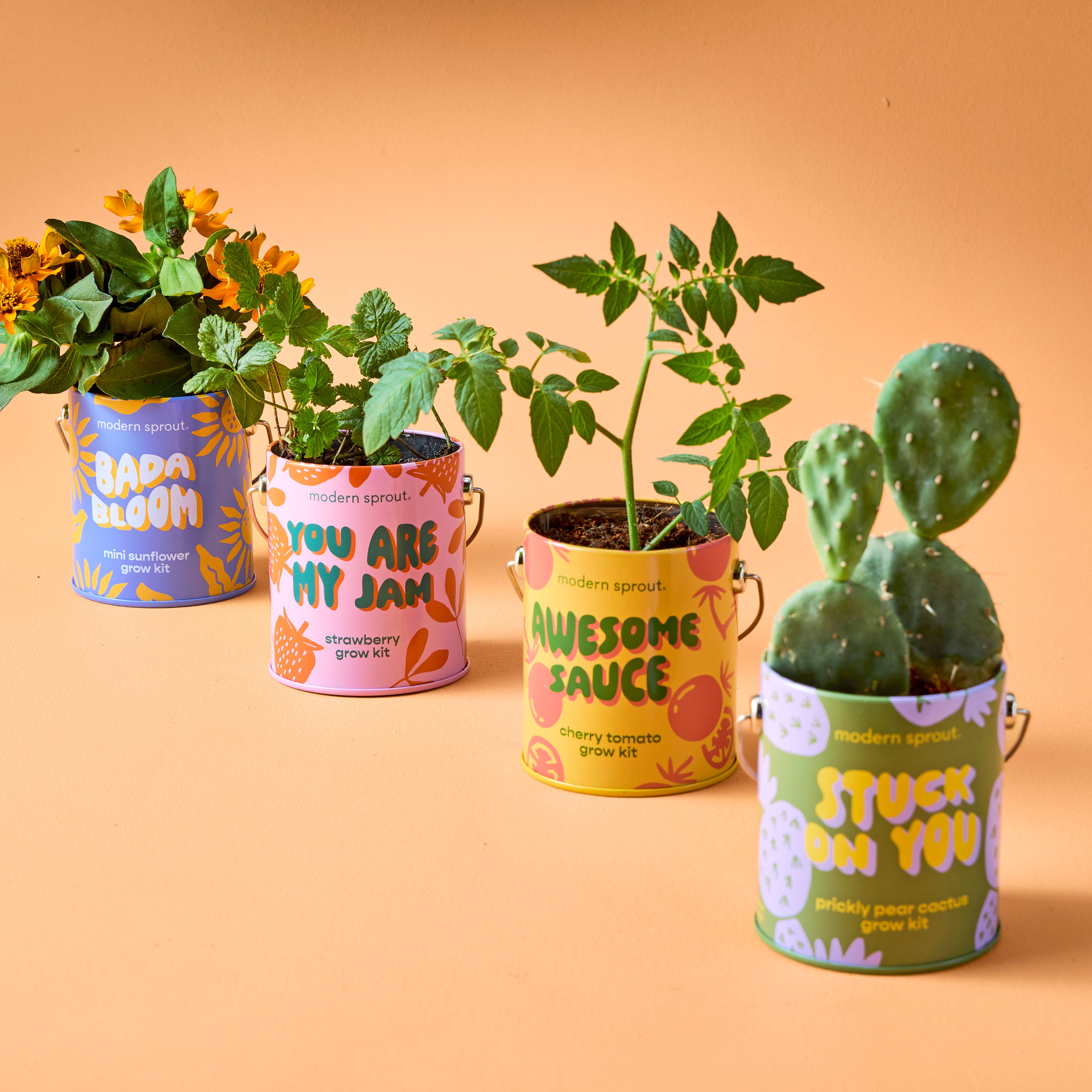 Grow Kit