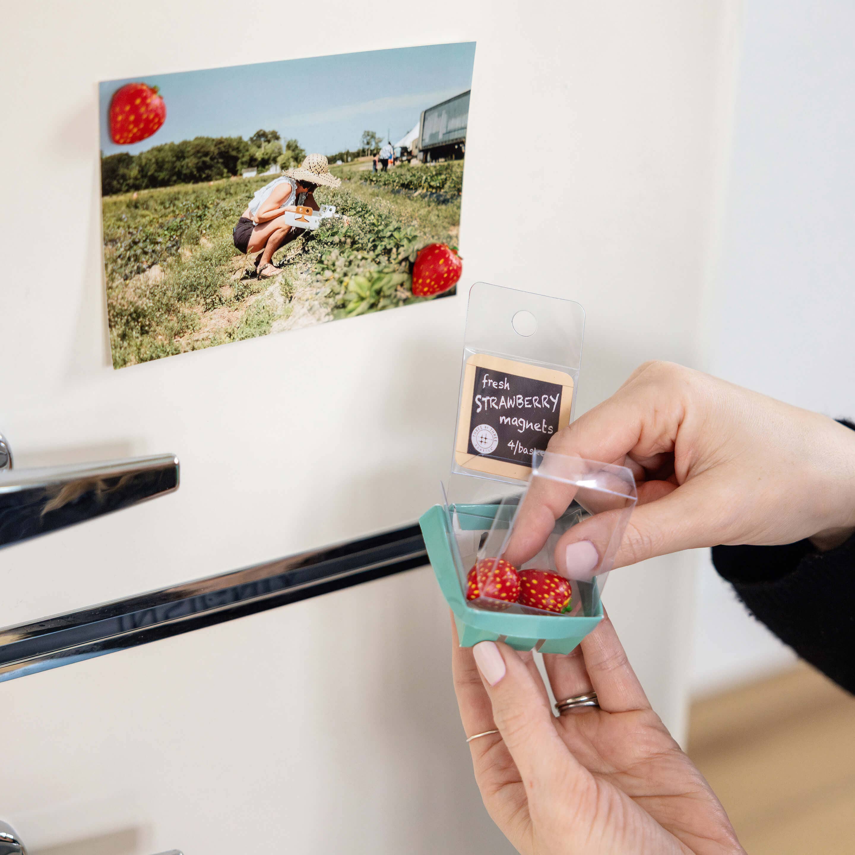 Strawberry Magnets