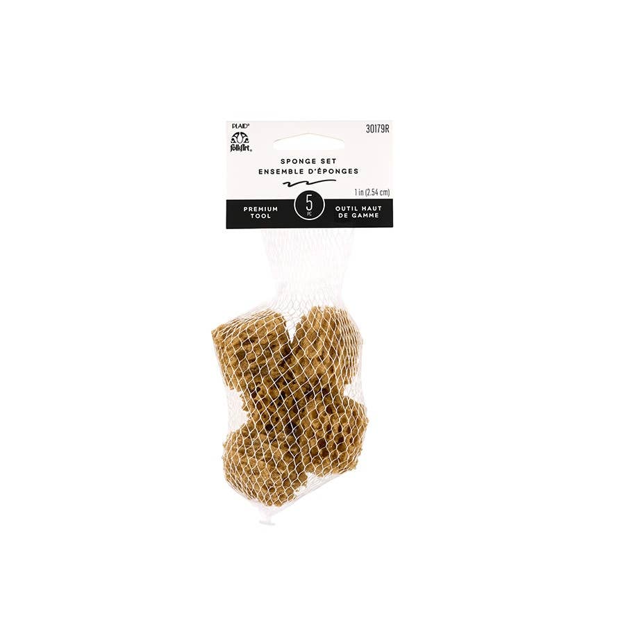 Sponge Value Pack - 5-Piece