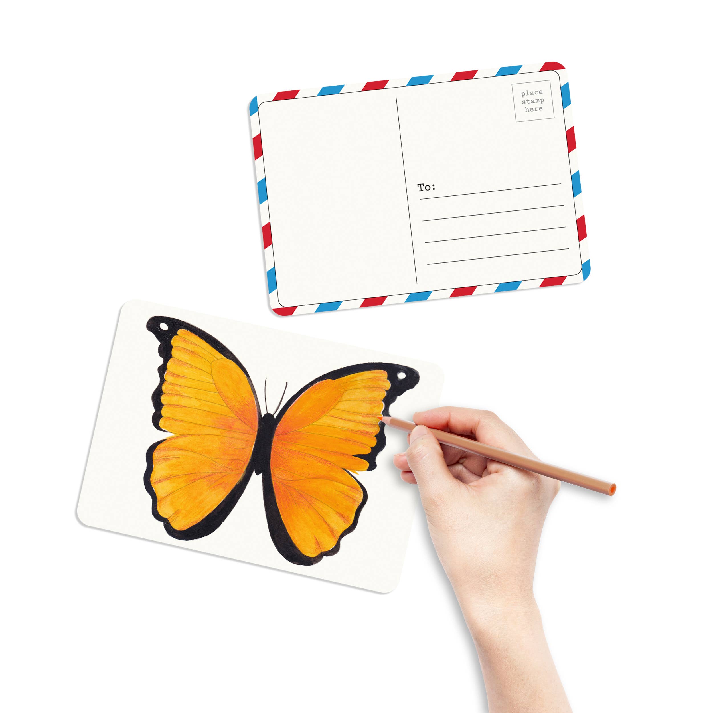 Coloring Postcards Butterfly & Moth Designs (30cards)