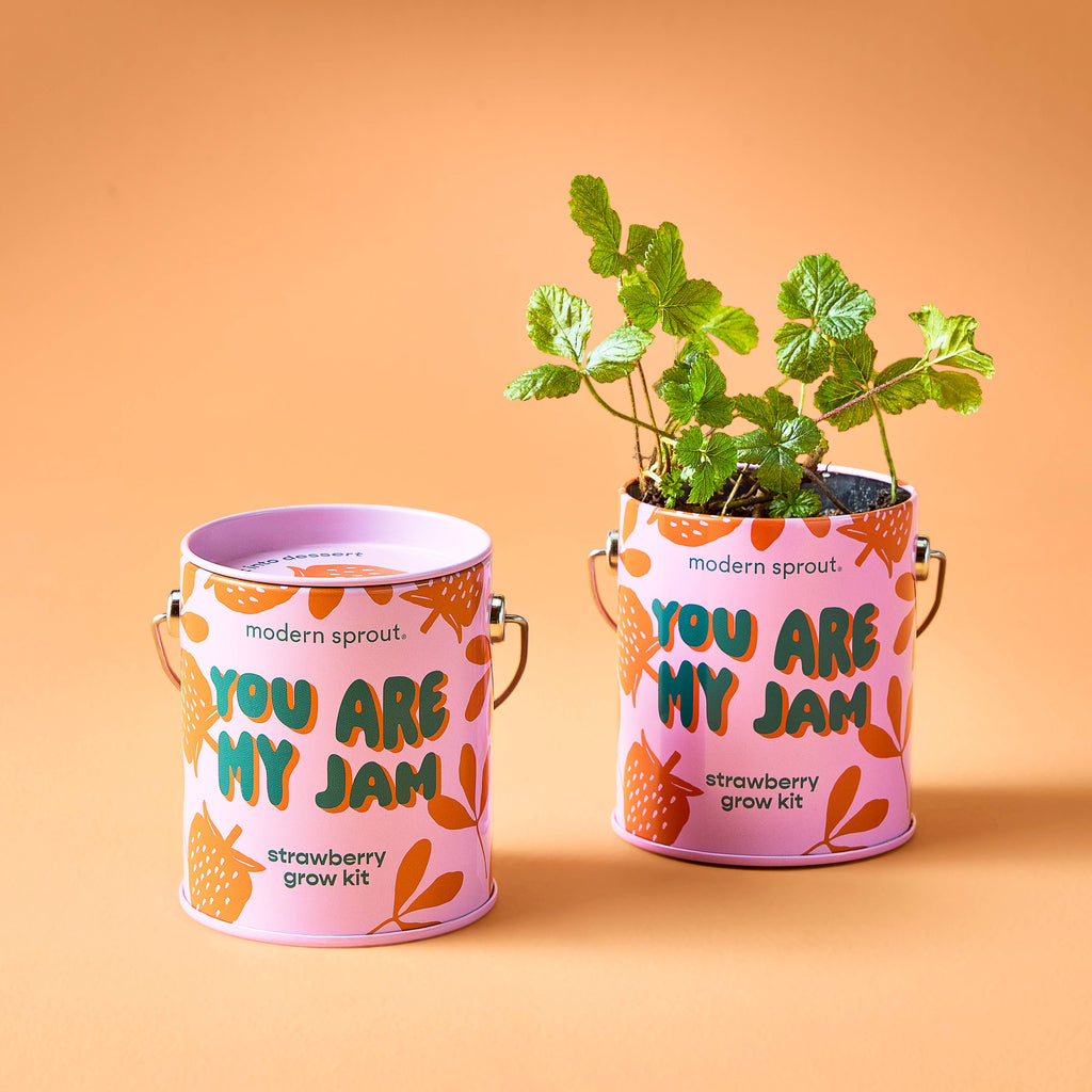 Grow Kit