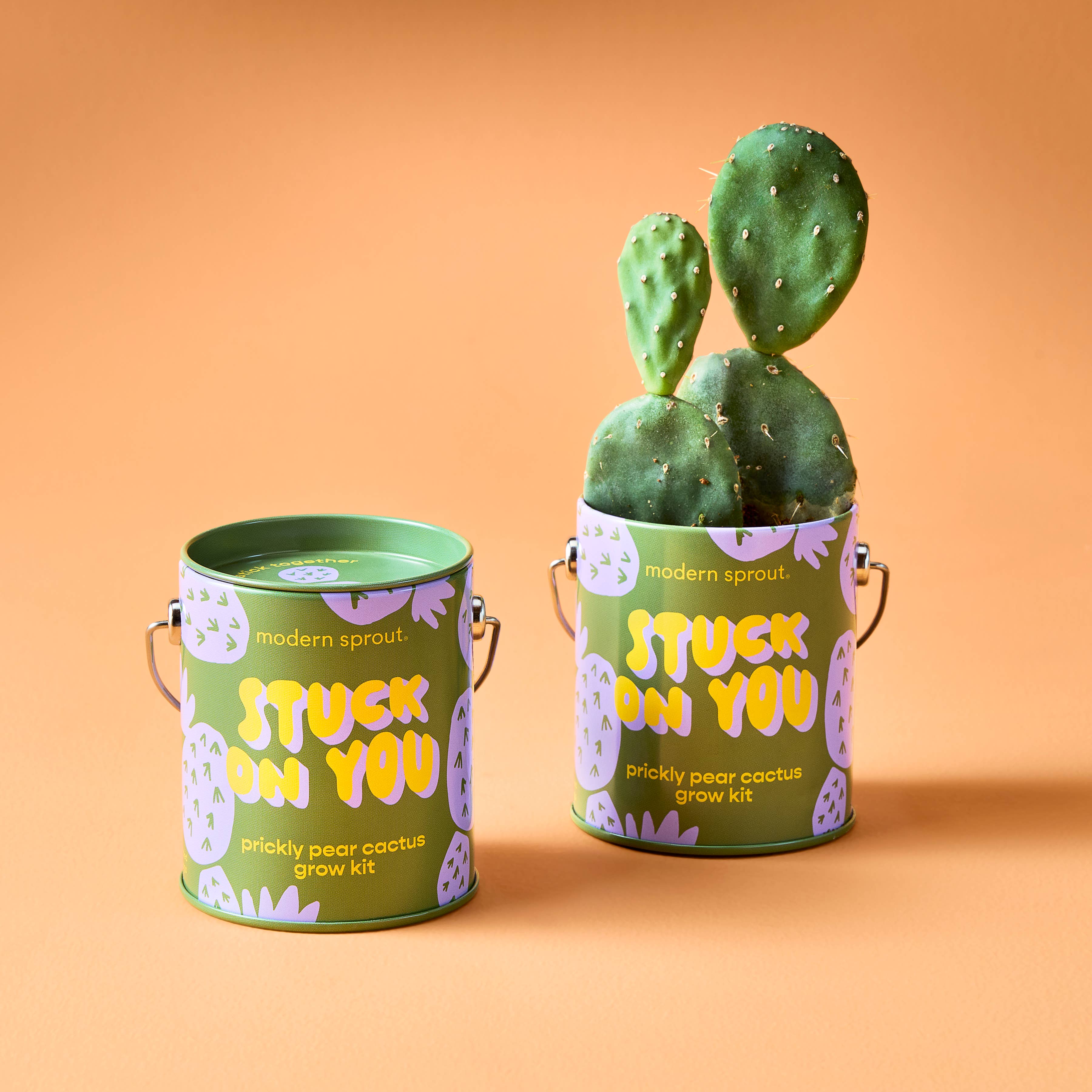 Grow Kit