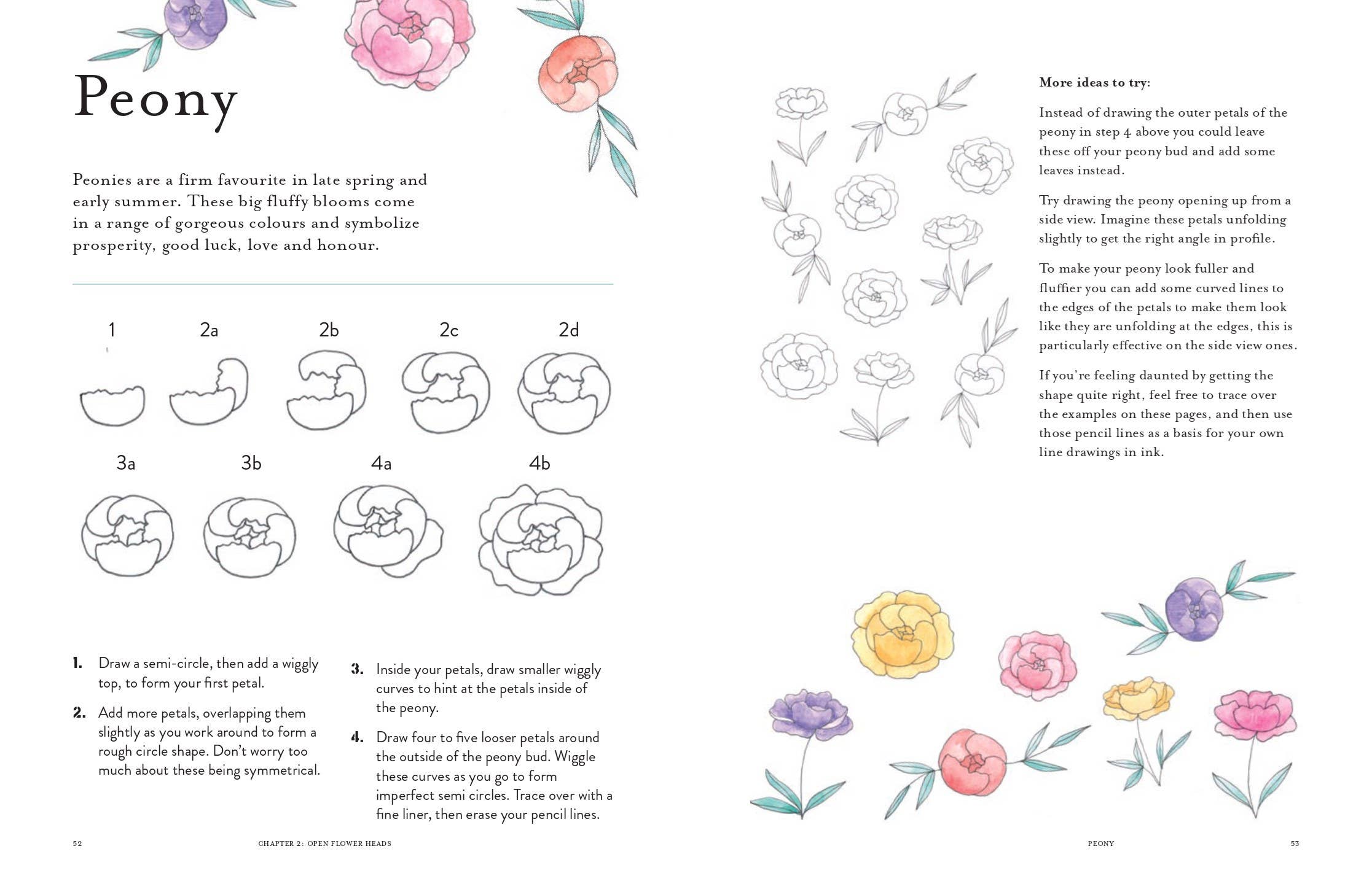 The Mindful Magic of Flower Drawing