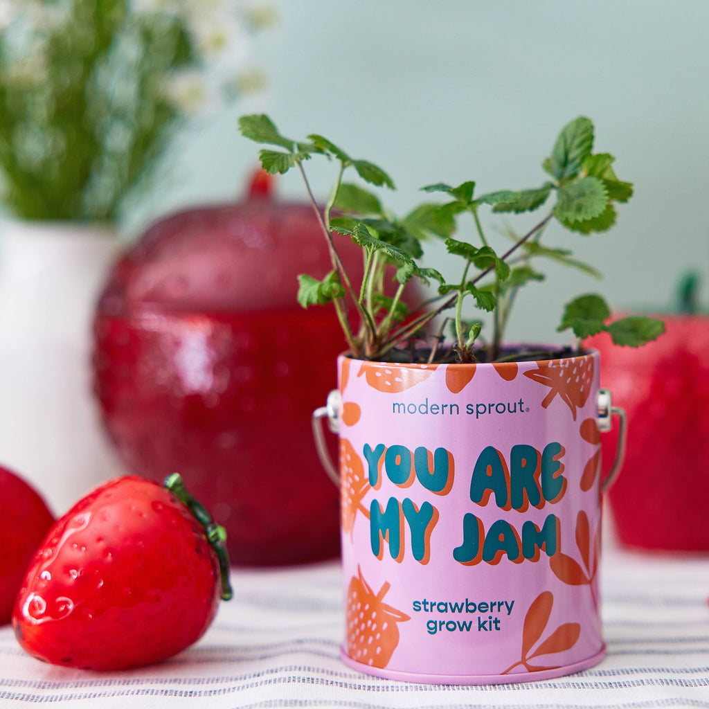 Grow Kit